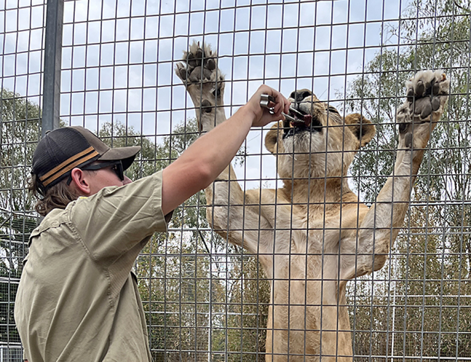 Garden City Toowoomba Probus visits the Darling Downs Zoo